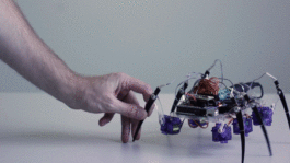 HYBRID THINGS LAB